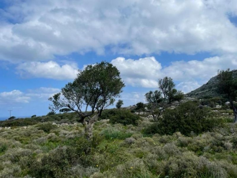 Kokkino Chorio Grundstück mit Meerblick in berühmter Gegend auf Kreta Grundstück kaufen